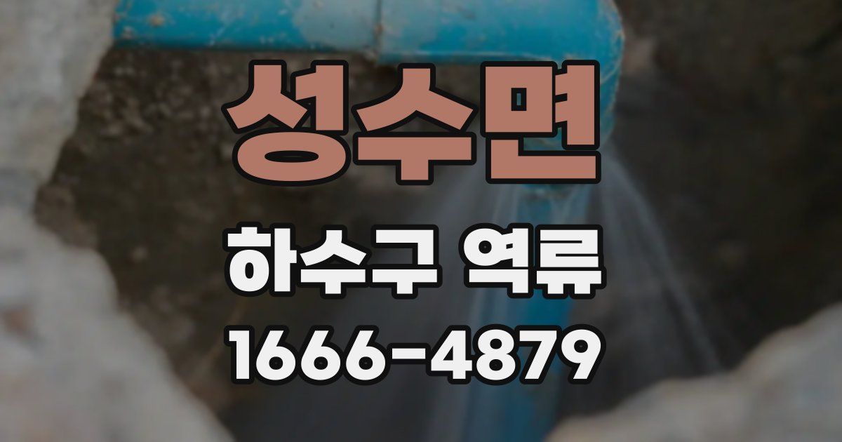 성수면 하수구 역류