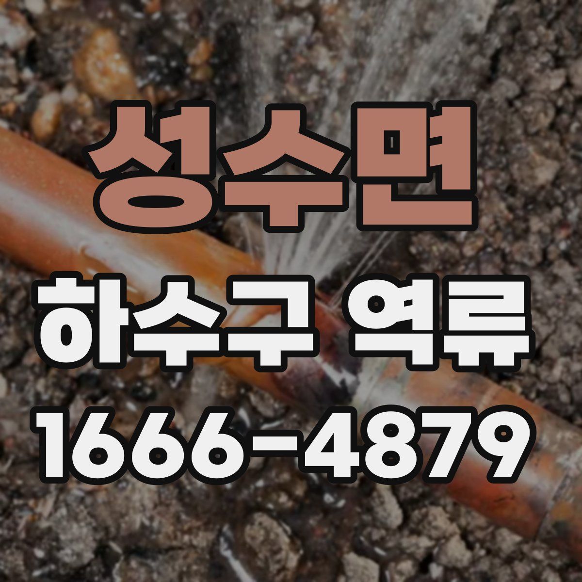 성수면 하수구 역류