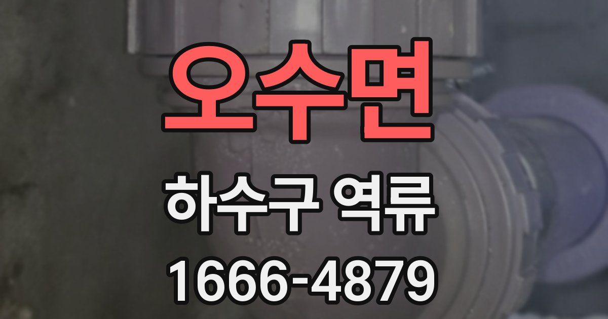 오수면 하수구 역류