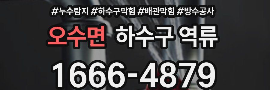오수면 하수구 역류