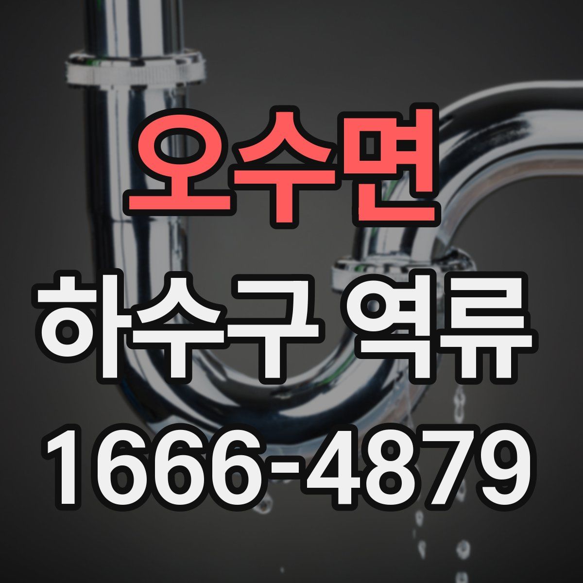 오수면 하수구 역류