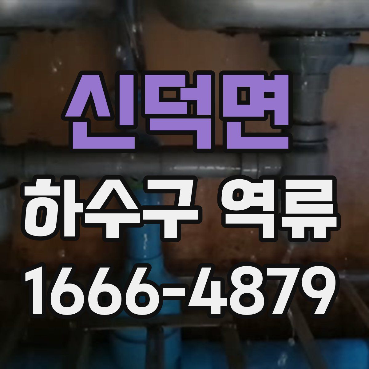 신덕면 하수구 역류