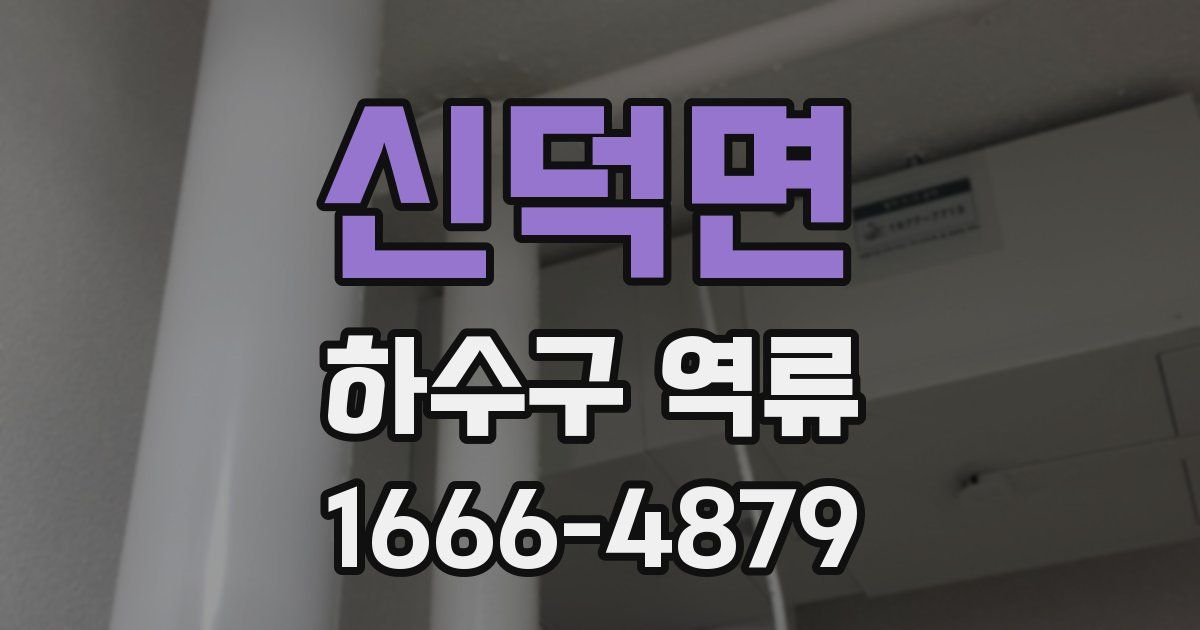 신덕면 하수구 역류
