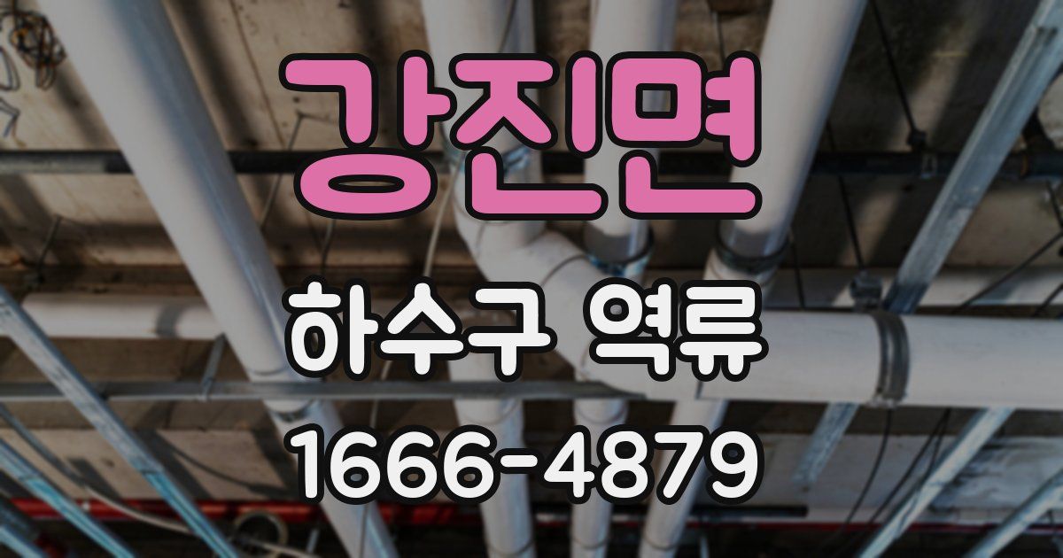 강진면 하수구 역류