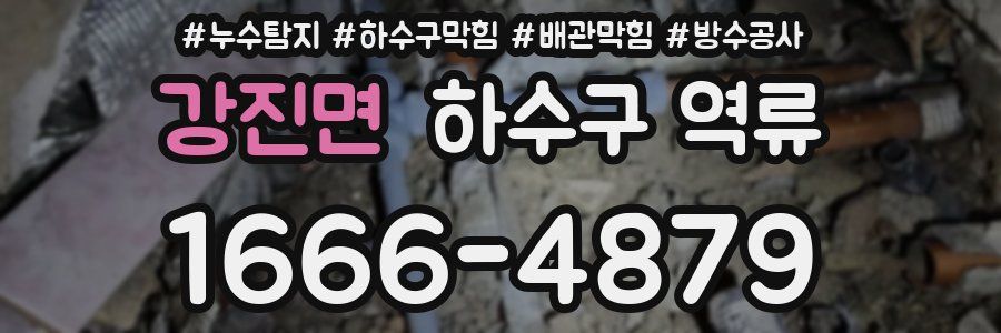 강진면 하수구 역류