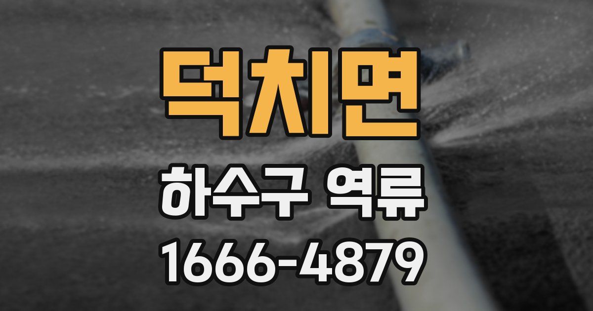 덕치면 하수구 역류