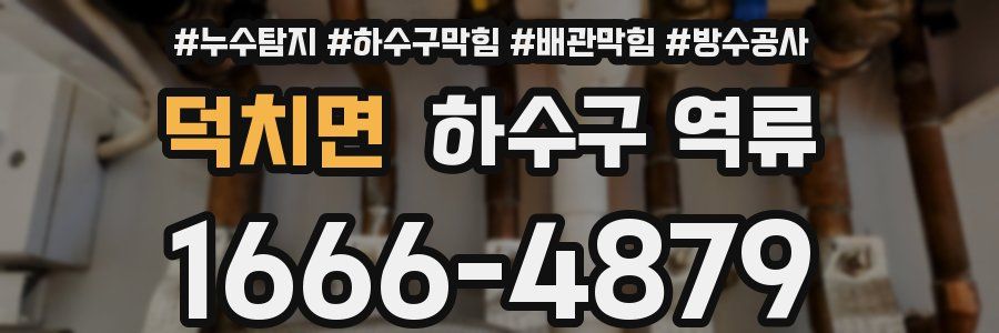 덕치면 하수구 역류