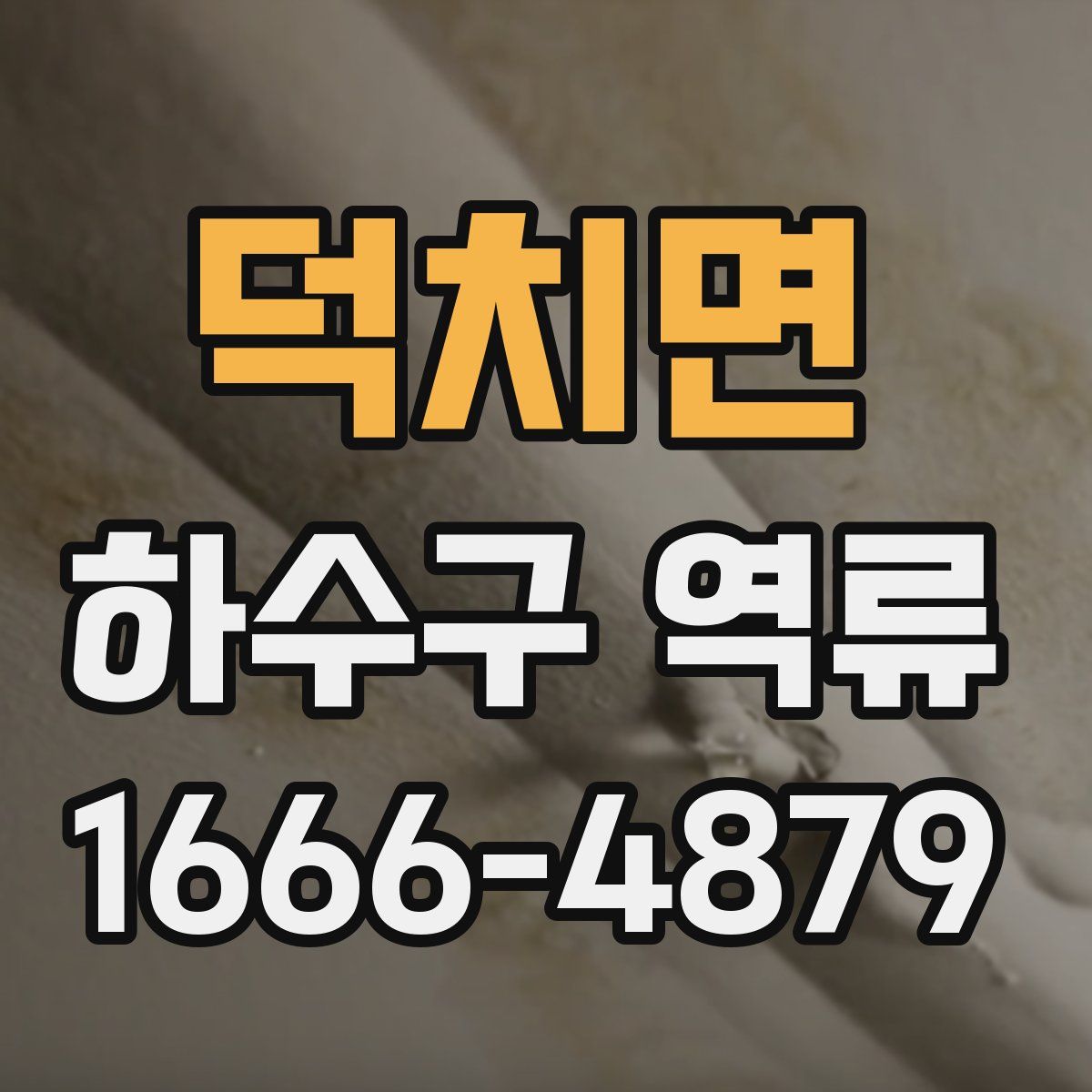 덕치면 하수구 역류