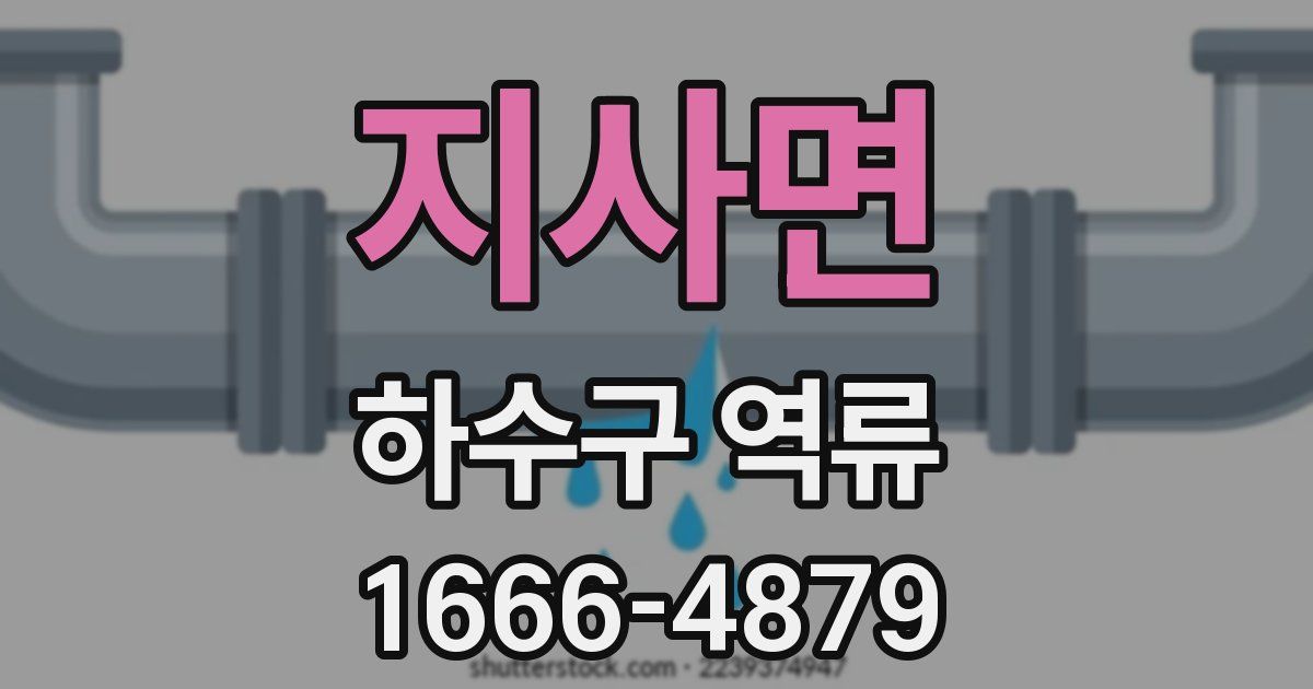 지사면 하수구 역류