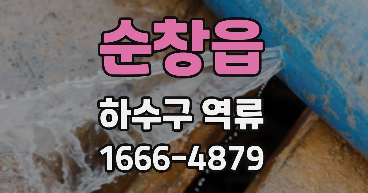 순창읍 하수구 역류