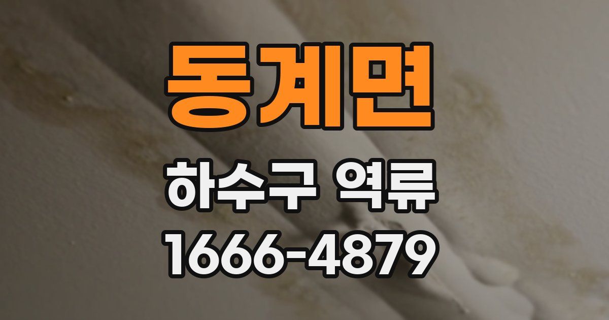 동계면 하수구 역류