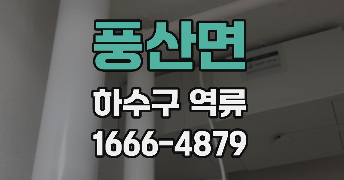 풍산면 하수구 역류