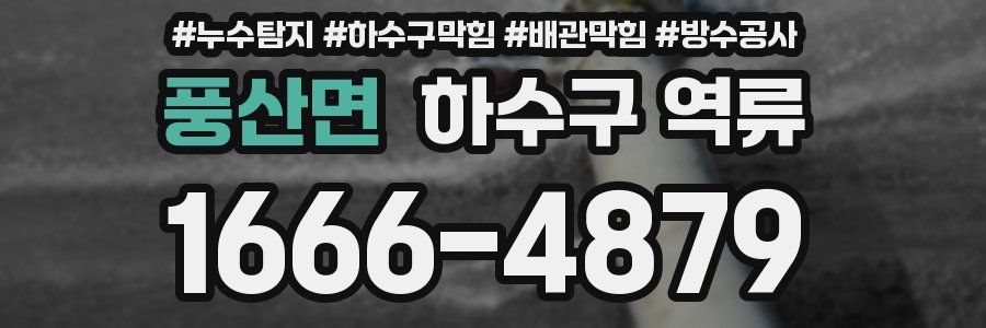 풍산면 하수구 역류