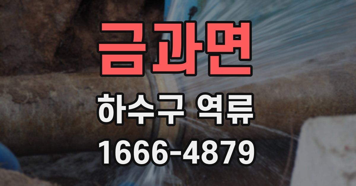 금과면 하수구 역류