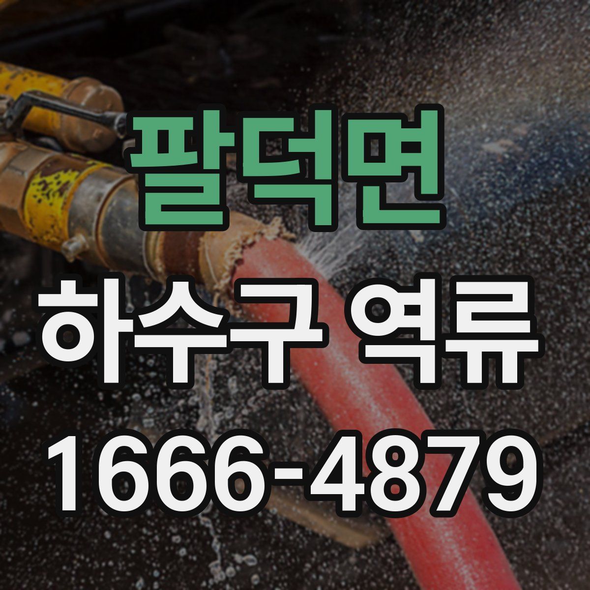 팔덕면 하수구 역류