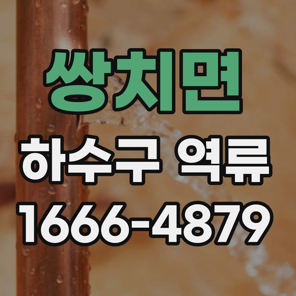 쌍치면 하수구 역류
