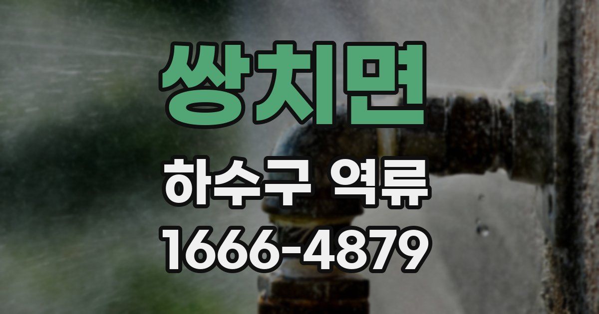 쌍치면 하수구 역류