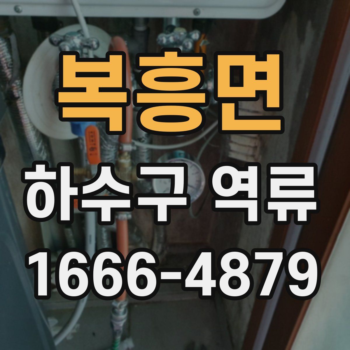 복흥면 하수구 역류