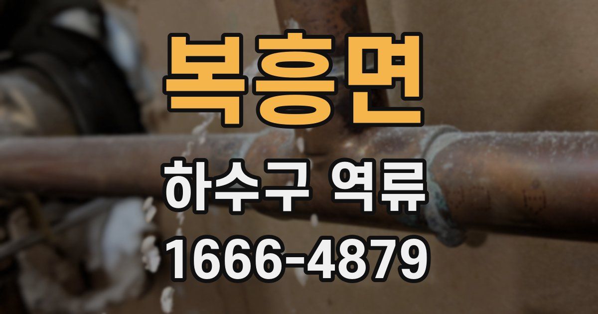 복흥면 하수구 역류