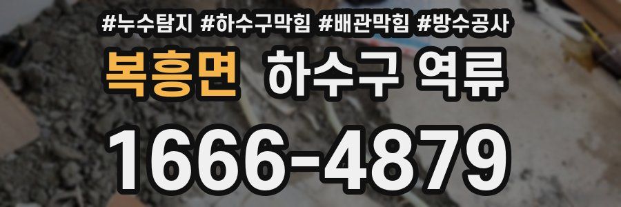 복흥면 하수구 역류