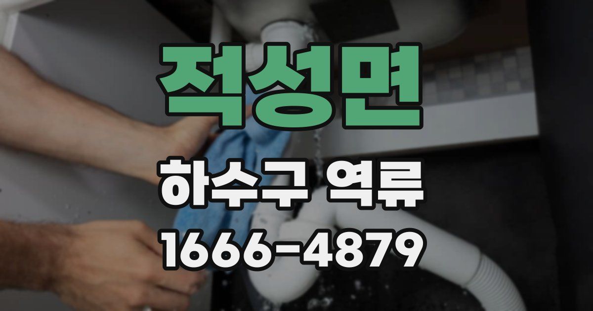 적성면 하수구 역류