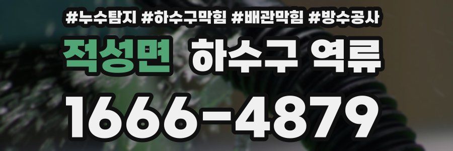 적성면 하수구 역류