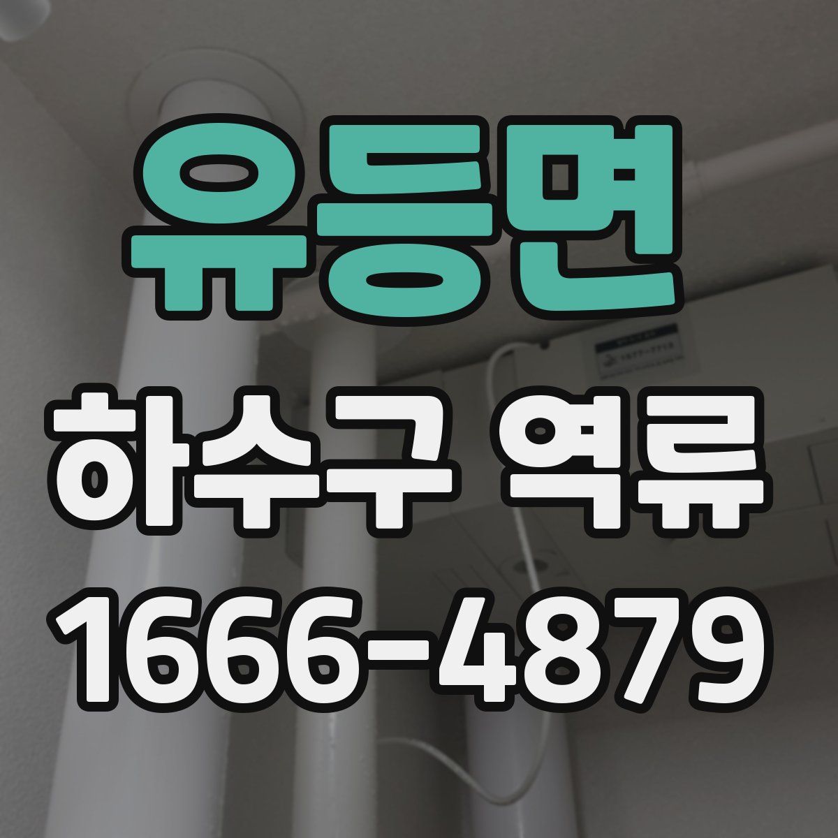 유등면 하수구 역류