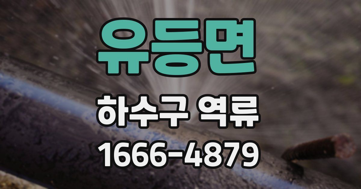 유등면 하수구 역류