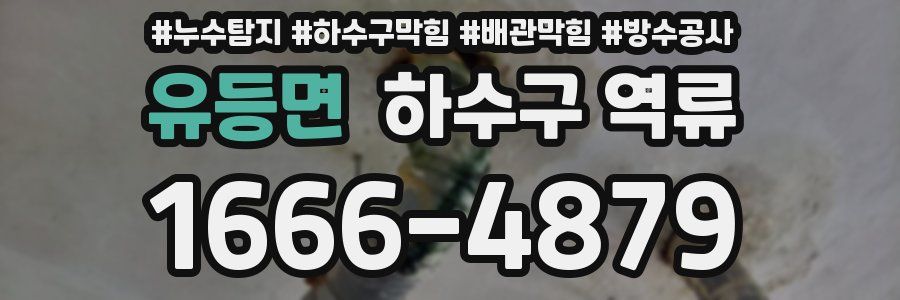 유등면 하수구 역류
