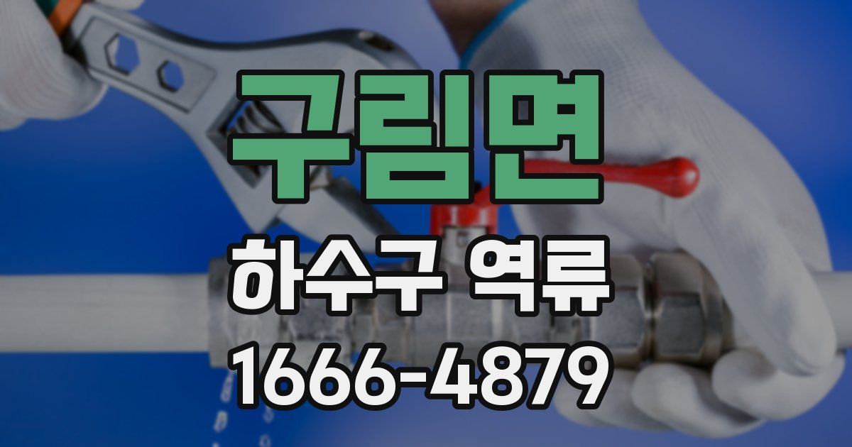 구림면 하수구 역류