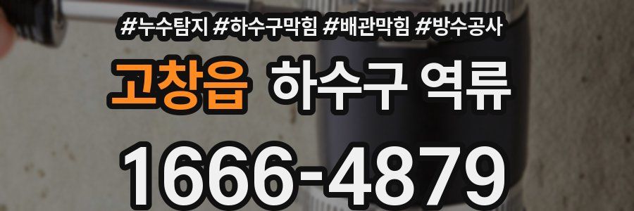고창읍 하수구 역류