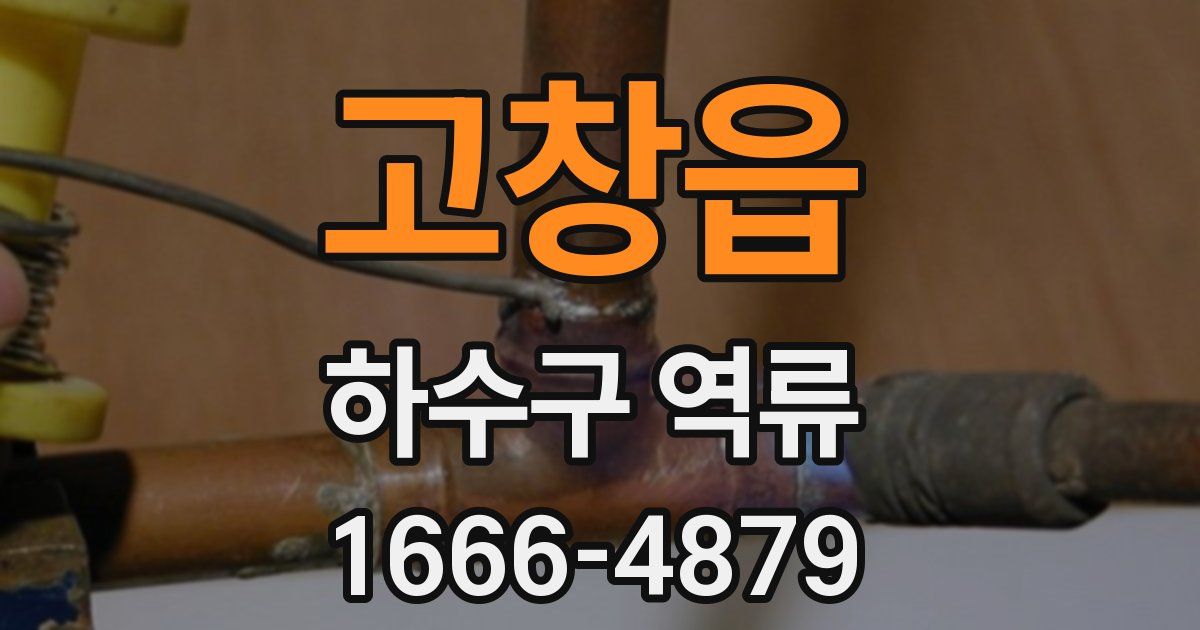 고창읍 하수구 역류