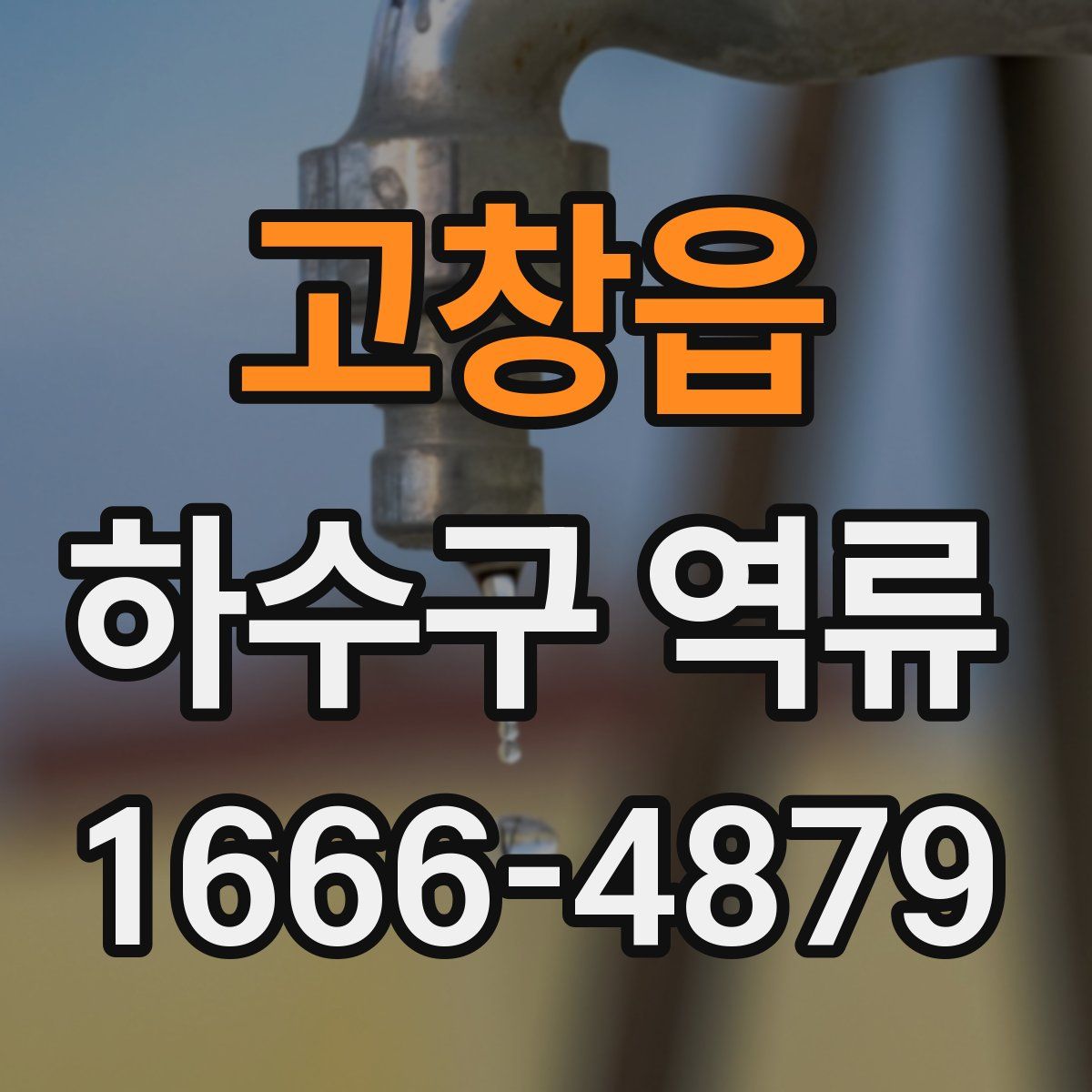 고창읍 하수구 역류