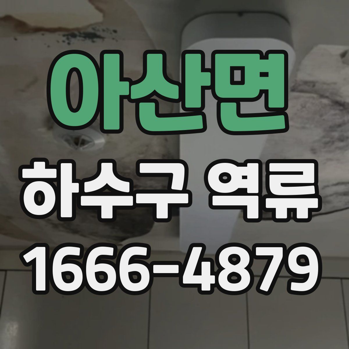 아산면 하수구 역류