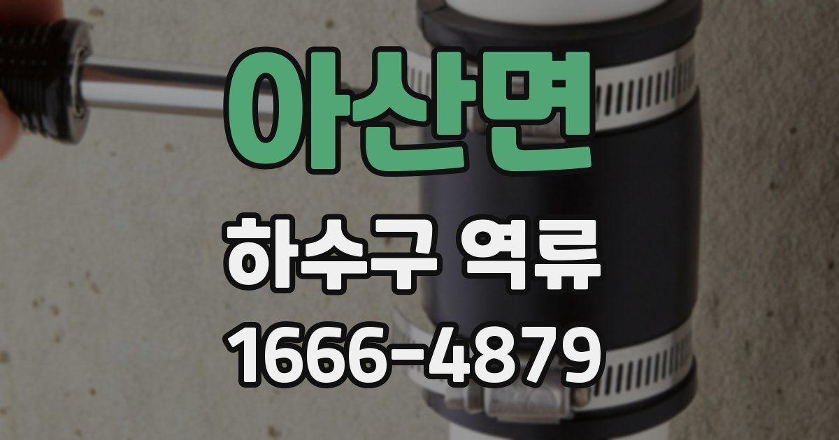 아산면 하수구 역류