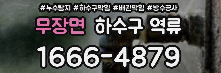 무장면 하수구 역류