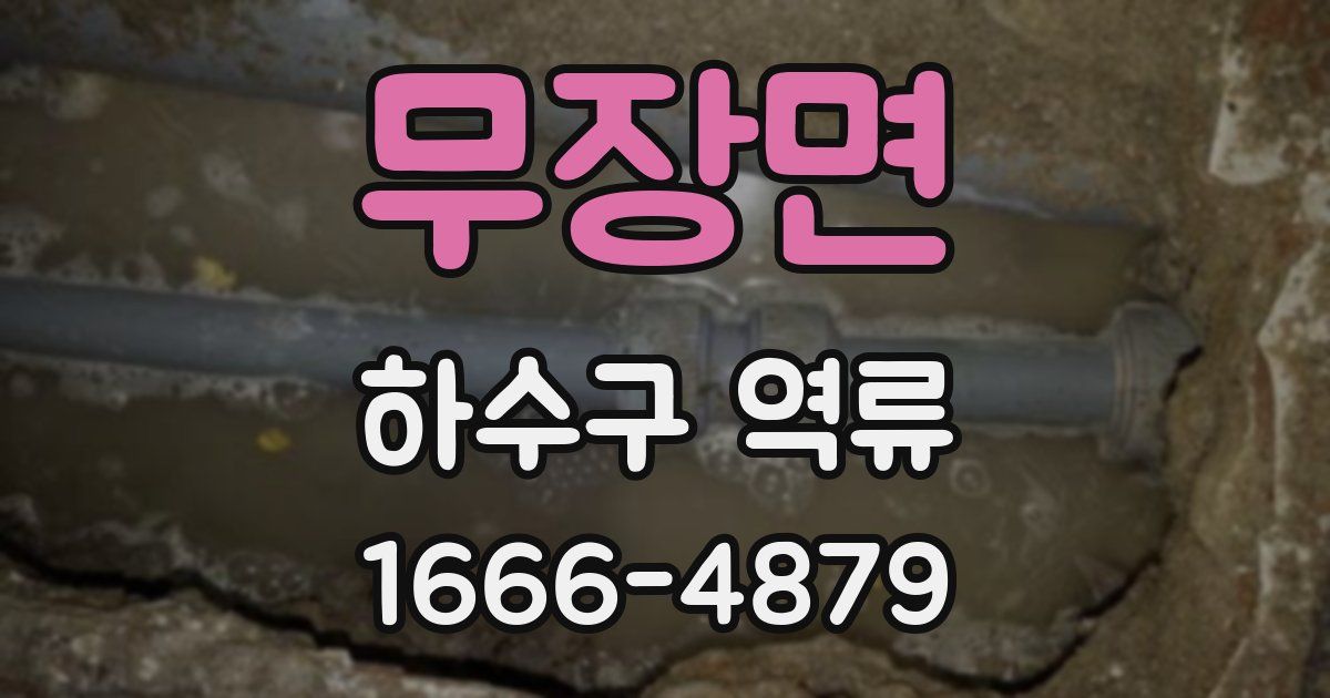 무장면 하수구 역류
