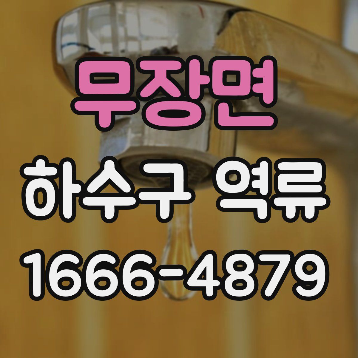 무장면 하수구 역류