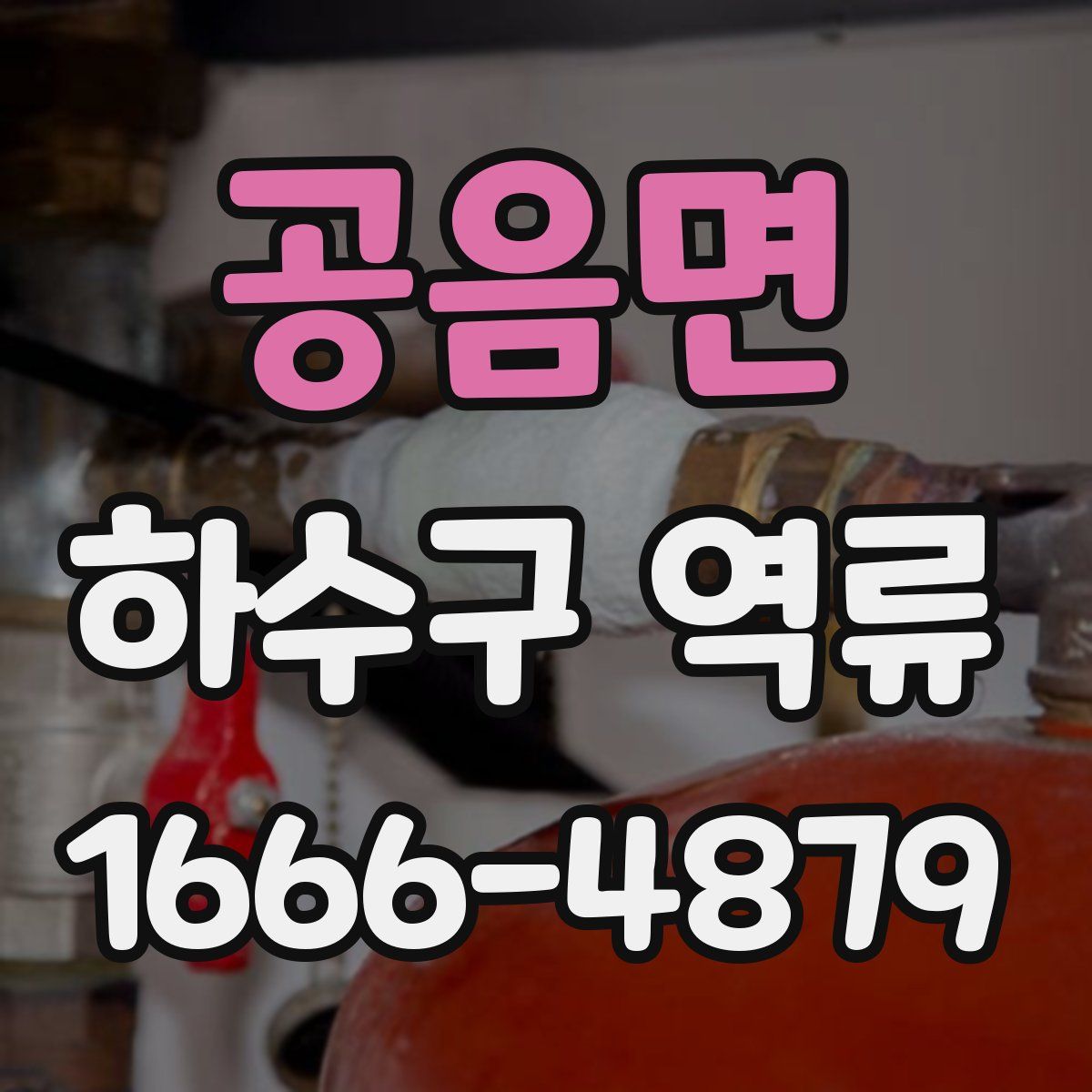 공음면 하수구 역류