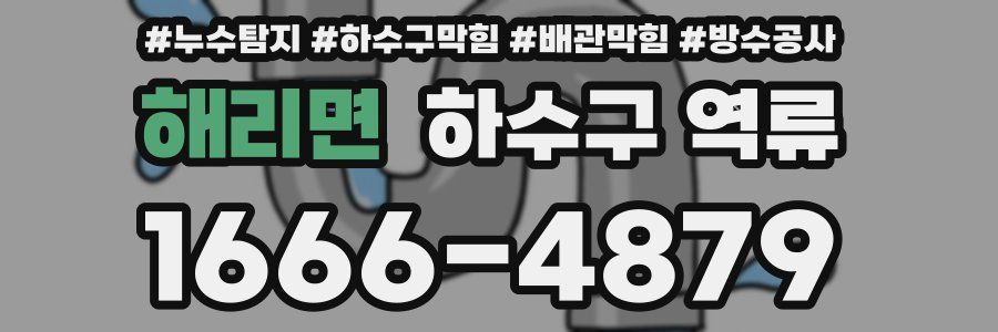 해리면 하수구 역류