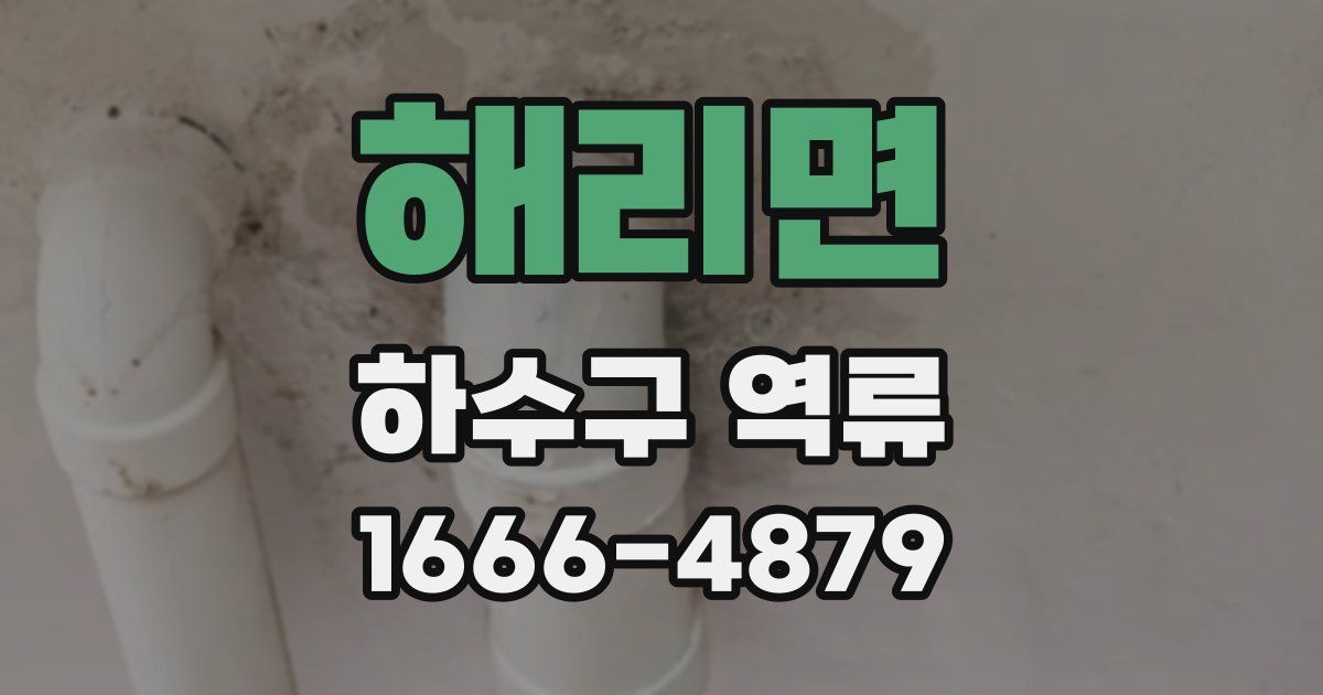 해리면 하수구 역류