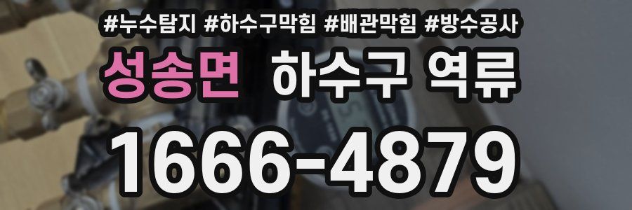 성송면 하수구 역류