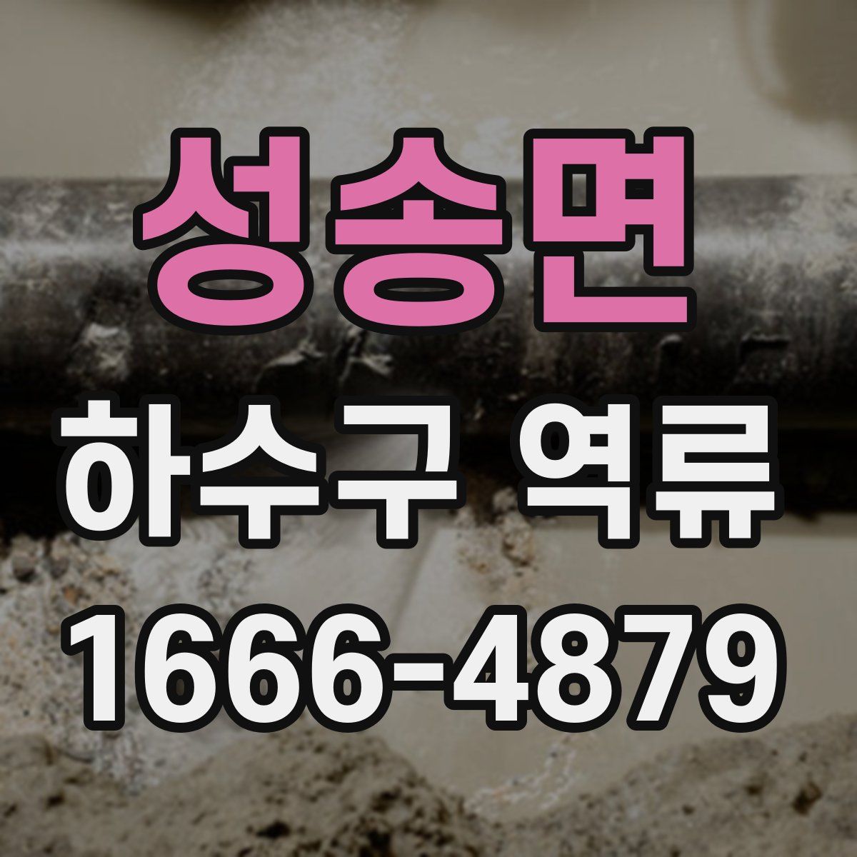 성송면 하수구 역류
