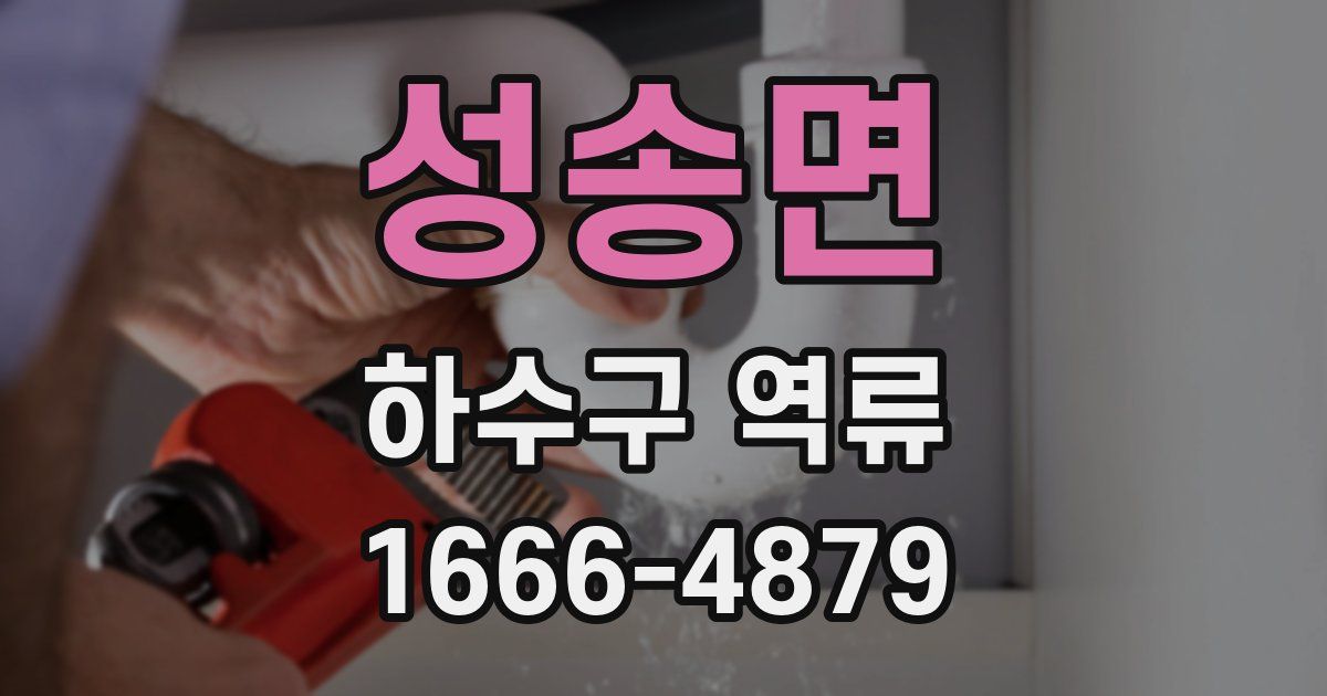 성송면 하수구 역류