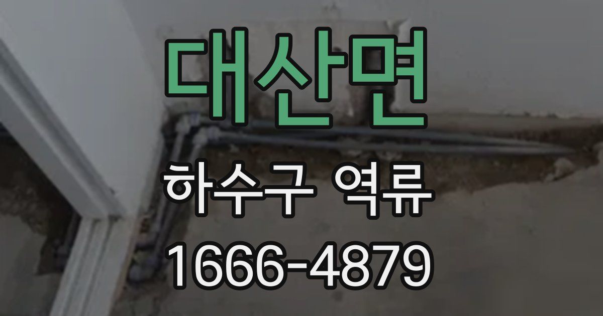 대산면 하수구 역류