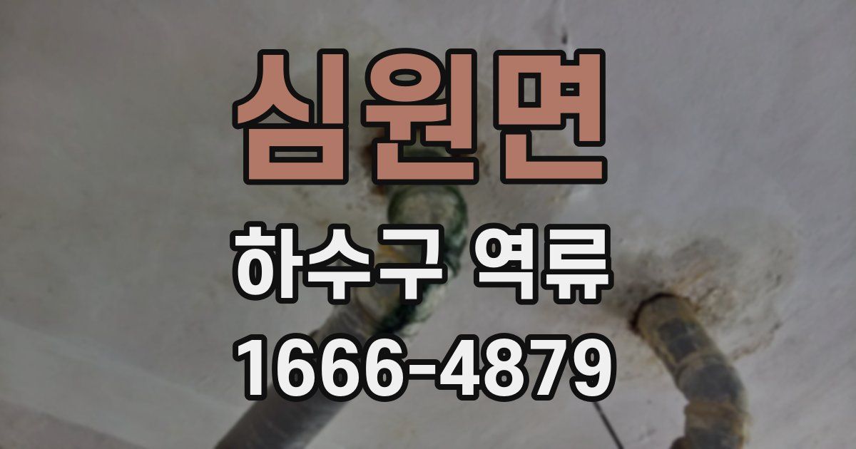 심원면 하수구 역류