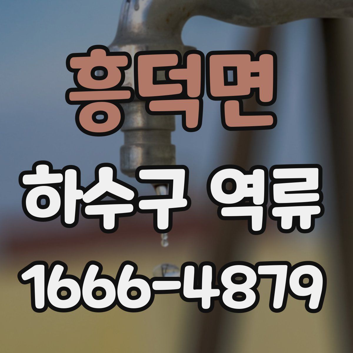 흥덕면 하수구 역류
