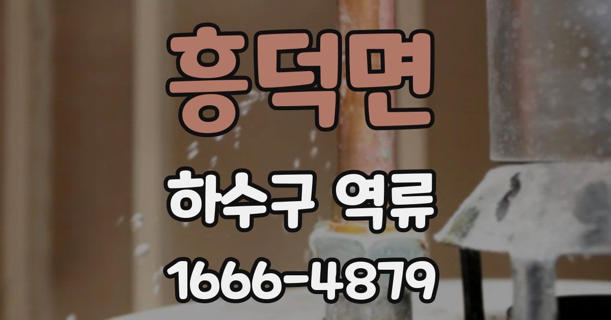 흥덕면 하수구 역류
