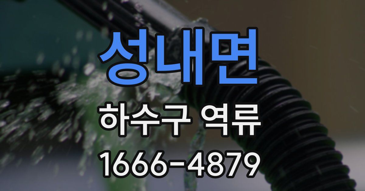 성내면 하수구 역류