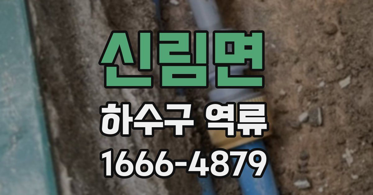 신림면 하수구 역류